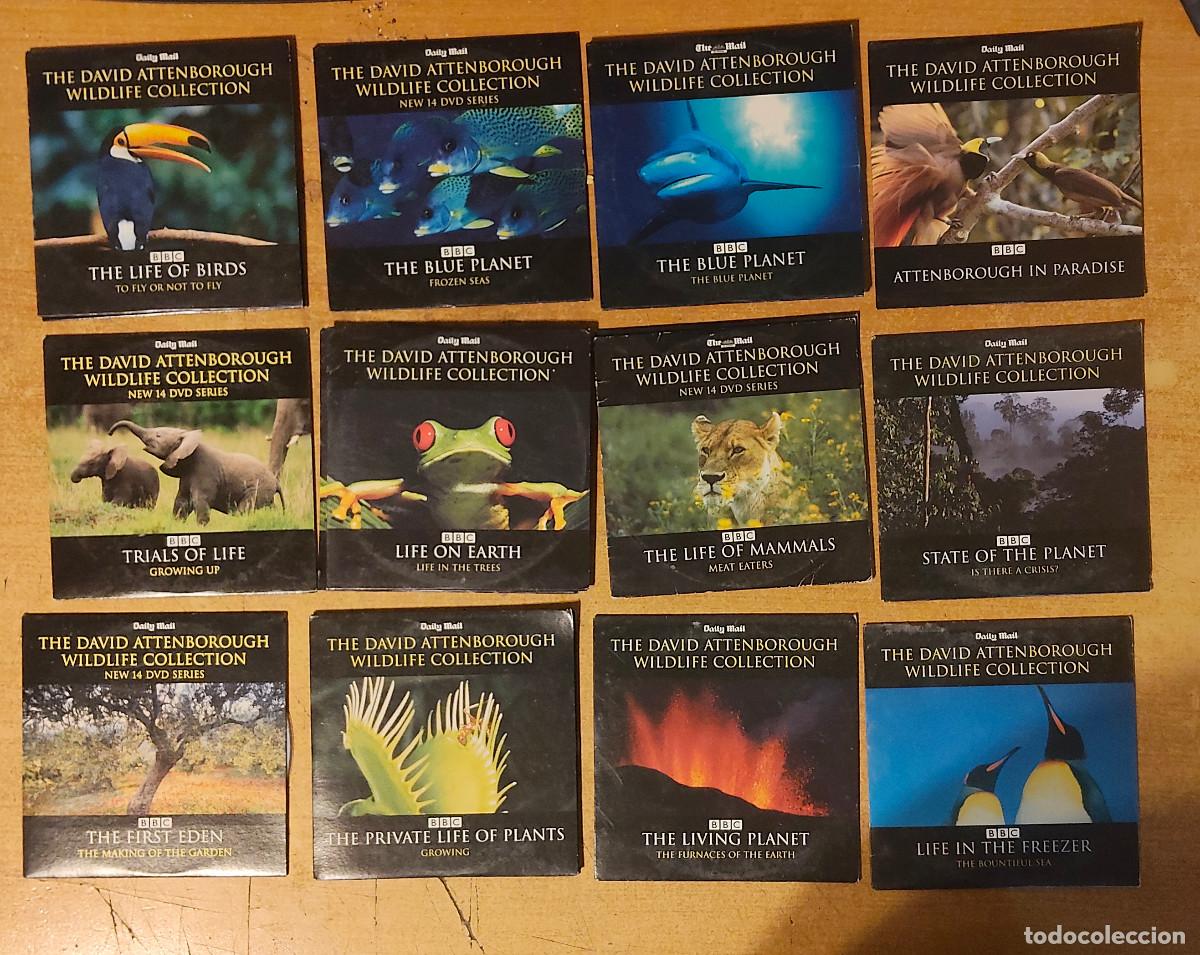Cine: 12 discos DVD de The David Attenborough Wildlife Collection serie promocional de la BBC y Daily Mail