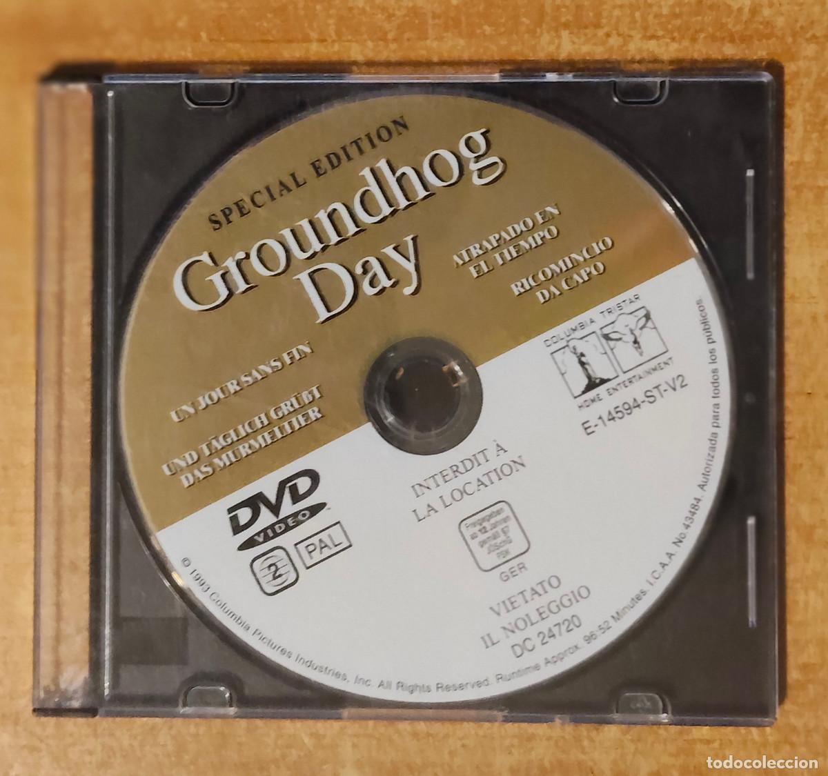 Cine: DVD Groundhog Day (Atrapado en el tiempo) - special edition - solo dvd