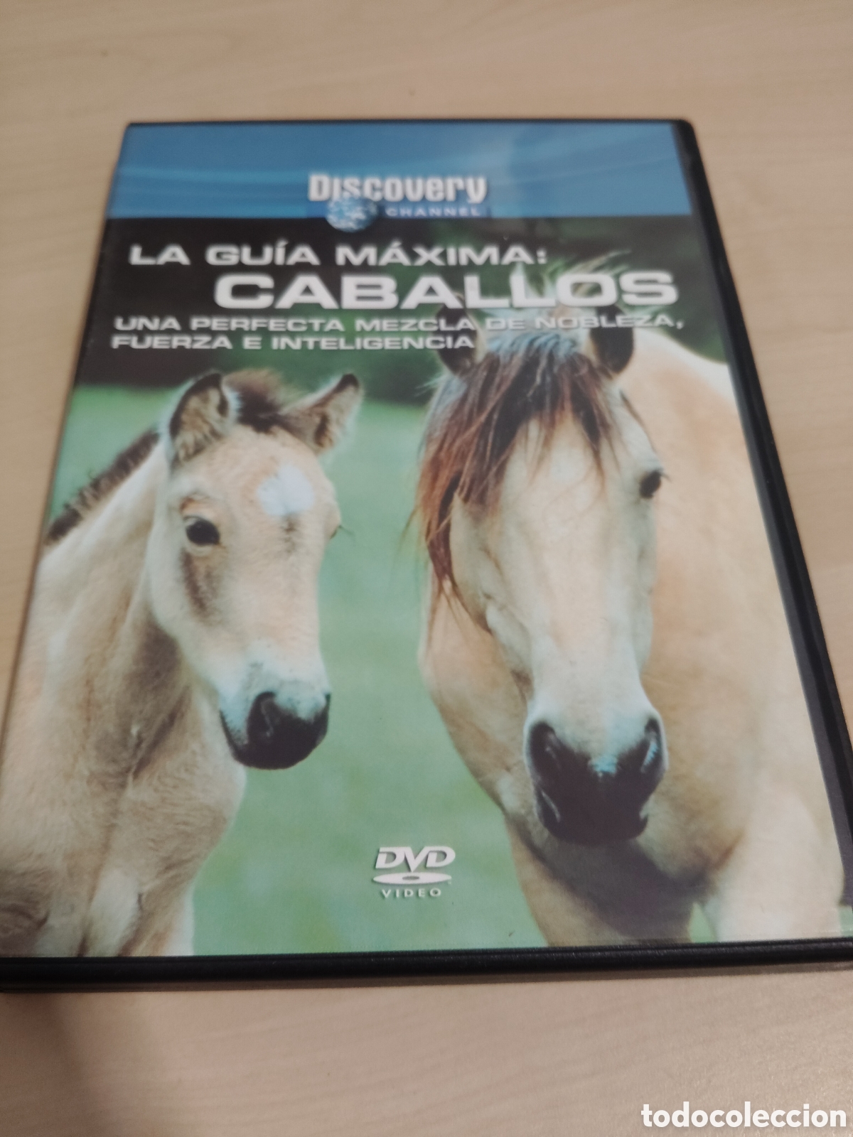 Cine: A65 la guia m&aacute;xima caballos DVD segundamano
