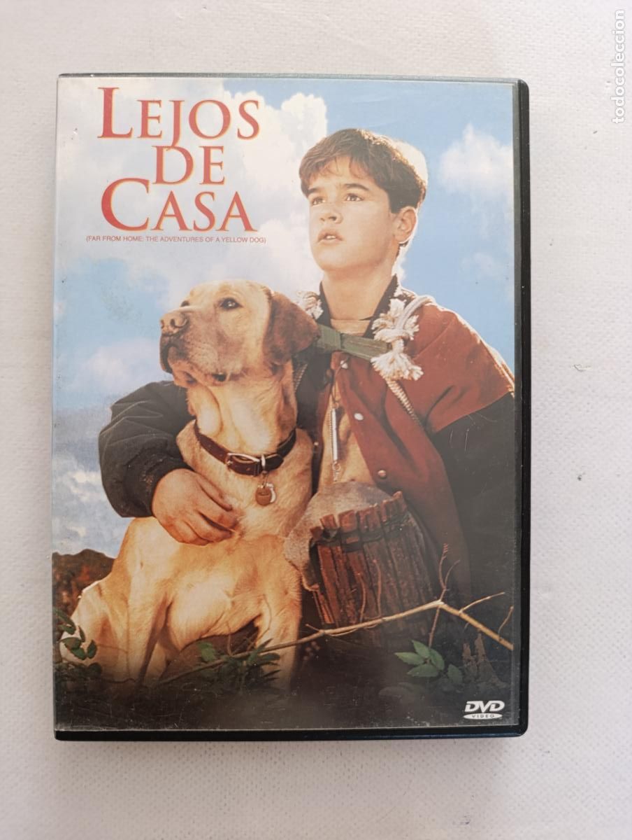 Cine: DVD LEJOS DE CASA - JESSE BRADFORD (R9w)