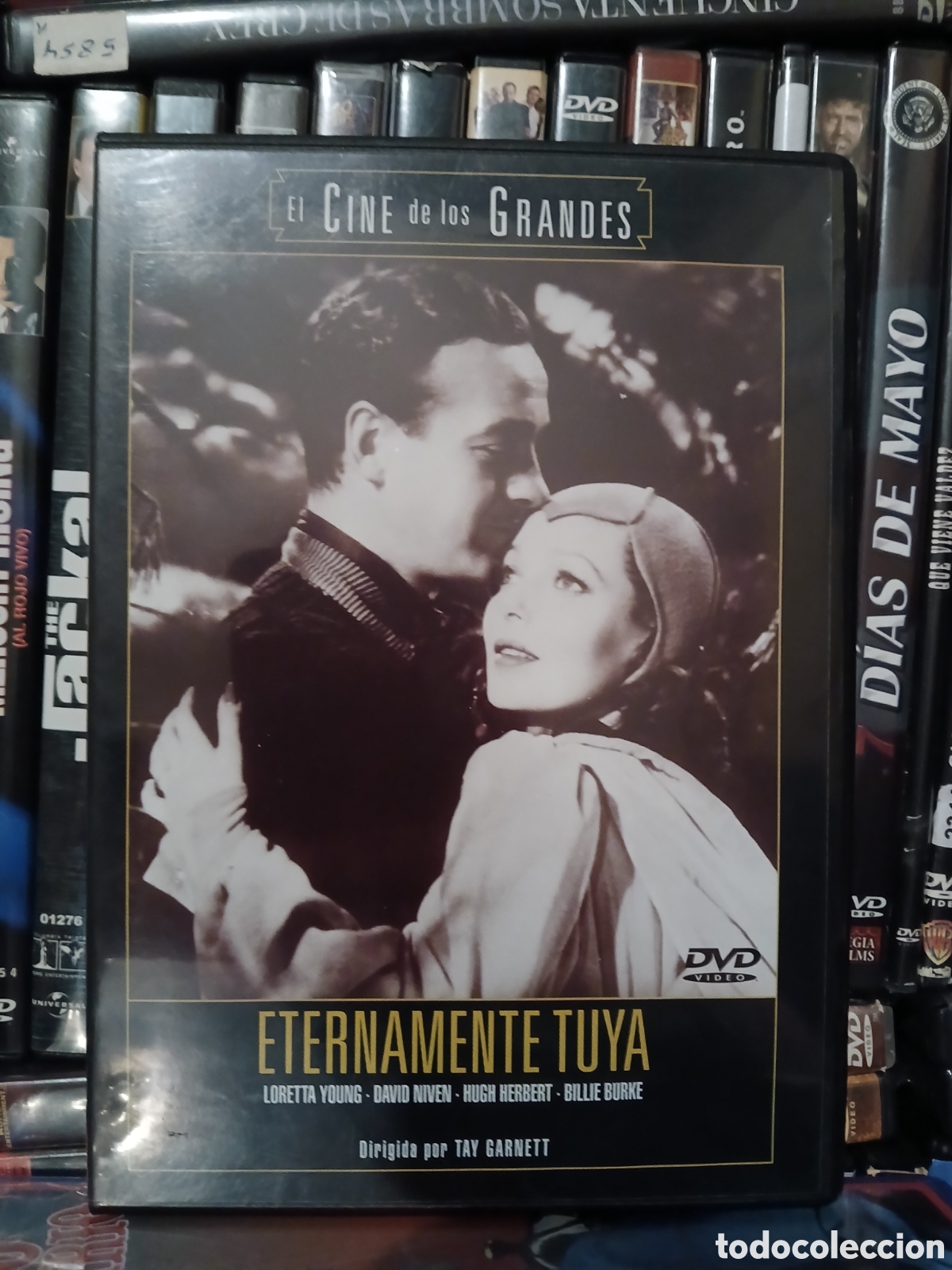 Kino: Eternamente Tuya DVD CineYVideojuegosAlMejorPrecio