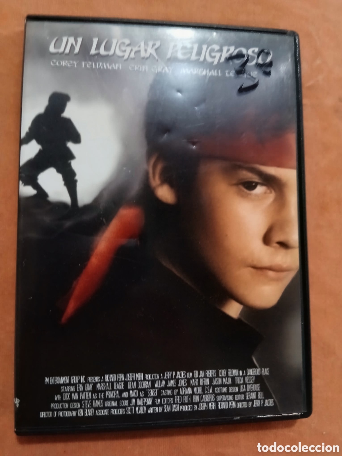 Cine: DVD &bull; UN LUGAR PELIGROSO &bull; COREY FELDMAN &bull; ARTES MARCIALES