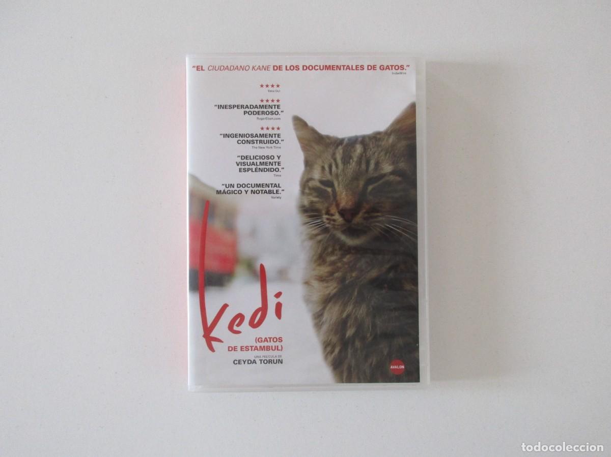 Cine: KEDI - GATOS DE ESTAMBUL - UNA PEL&Iacute;CULA DE CEYDA TORUN