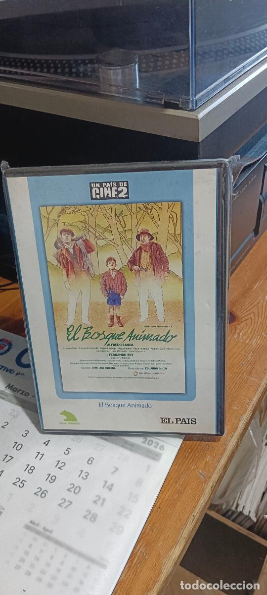 Cine: EL BOSQUE ANIMADO JOSE LUIS CUERDA DVD