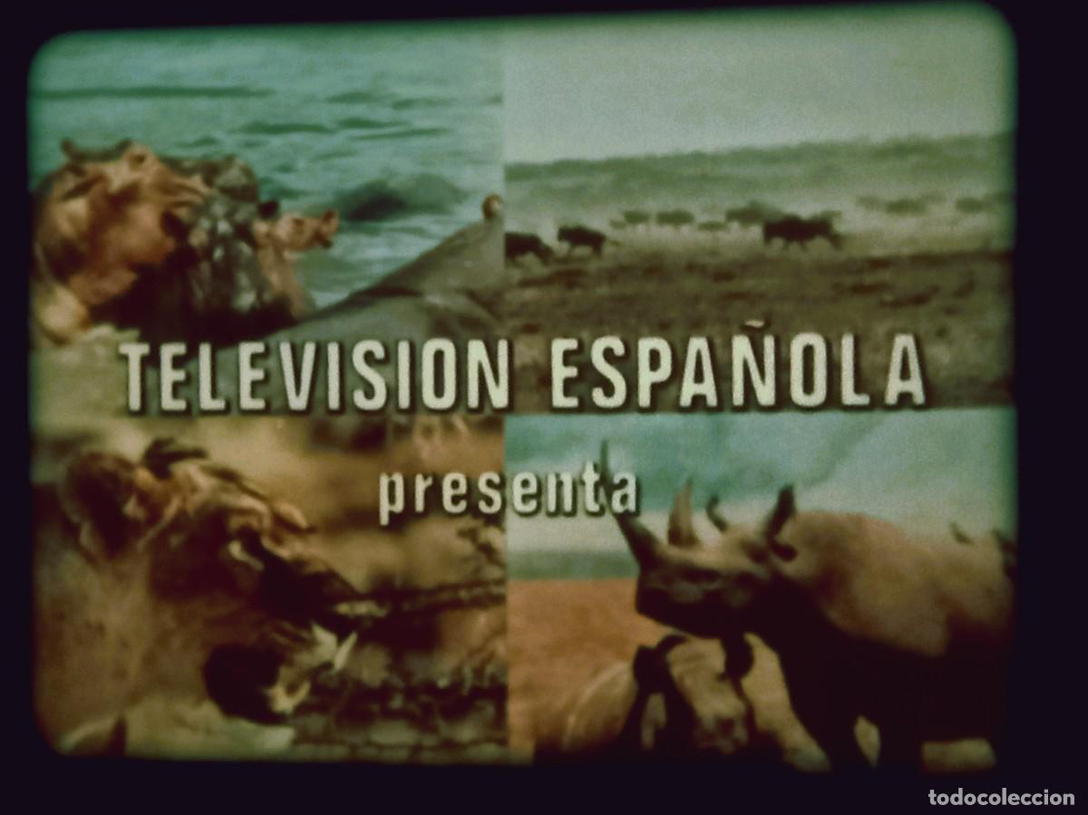 Cine: UN CAMPAMENTO EN LA SELVA VIRGEN (Serie Americana / N&ordm;15)