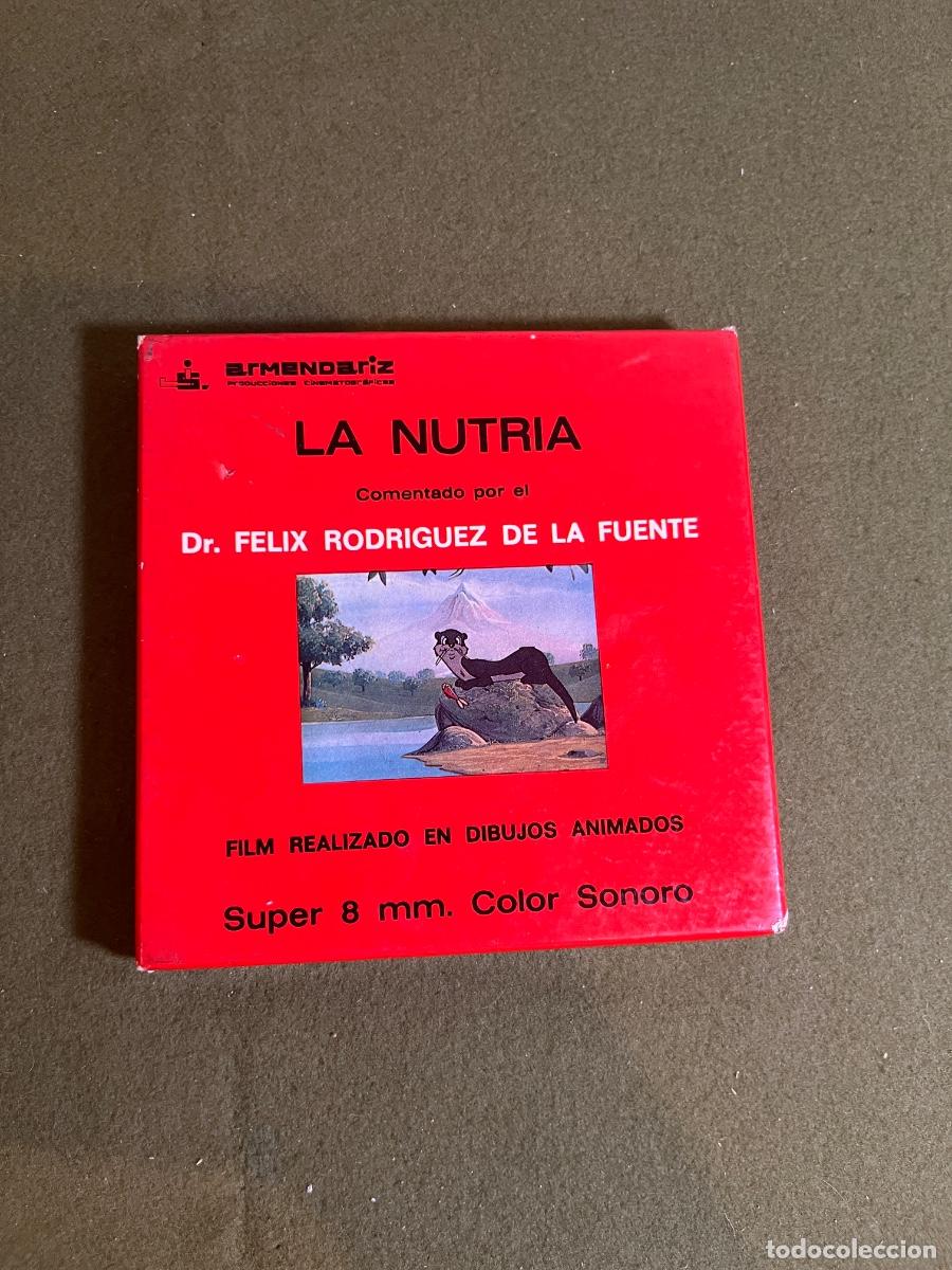 Kino: Pel&iacute;cula Super 8 La Nutria F&eacute;lix Rodr&iacute;guez de la Fuente Armendariz Color Sonora Caja Original A&ntilde;os 7