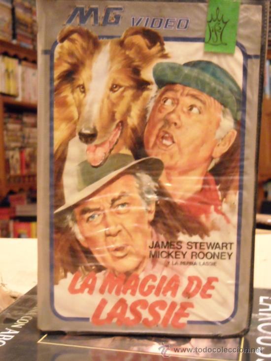 Cinema: la magia de lassie