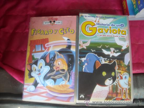 Cine: FIGARO Y CLEO -HISTORIA DE UNA GABIOTA