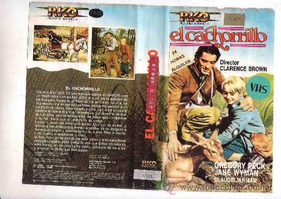 Cine: EL CACHORRILLO / GREGORY PECK - Foto 1