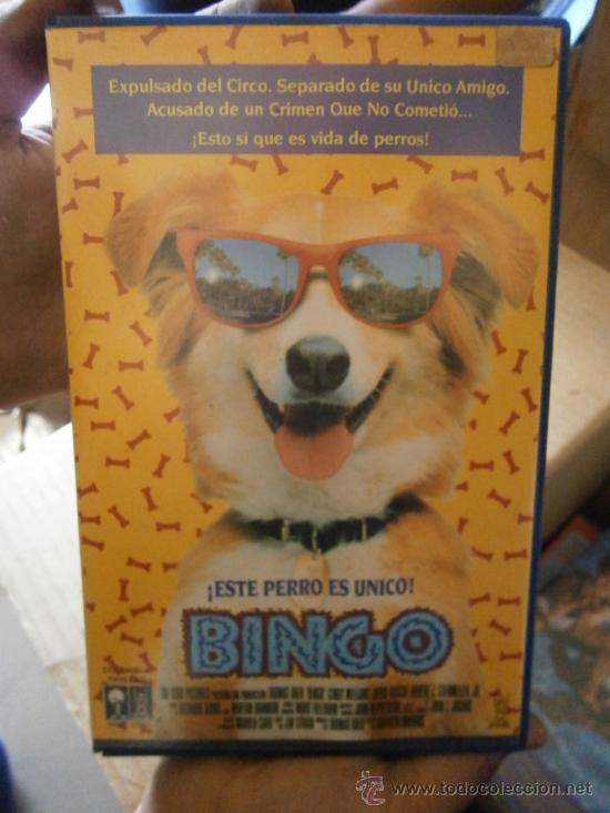Kino: ESTE PERRO ES UNICO BINGO.VHS