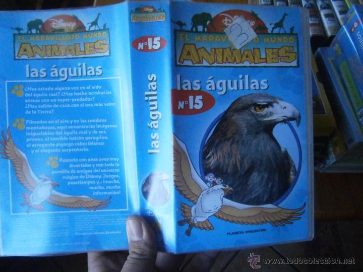 Cinema: EL MARAVILLOSO MUNDO DE ANIMALES -LAS AGUILAS-VHS(COMPRA MINIMA EU--)