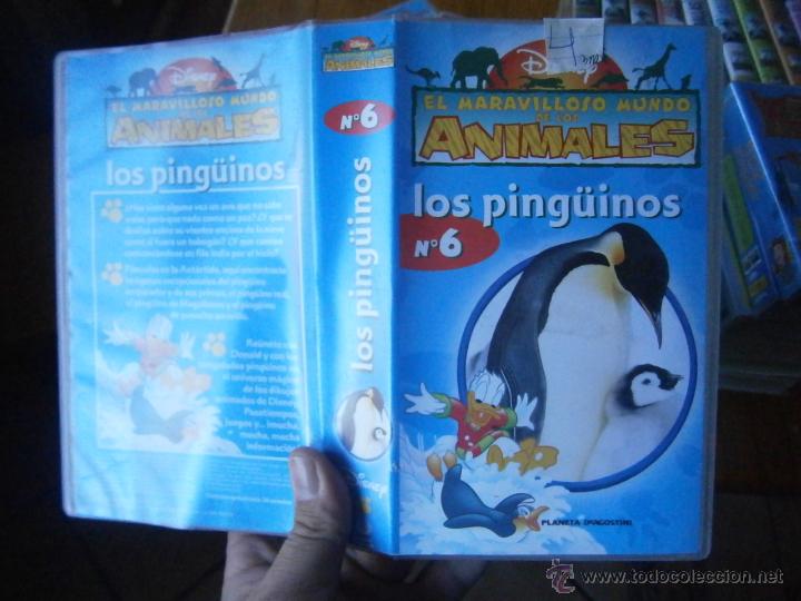 Cinema: EL MARAVILLOSO MUNDO DE ANIMALES -LOS PINGUINOS-VHS(COMPRA MINIMA 6 EU--)