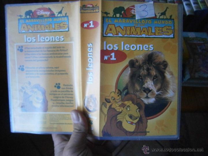 Cinema: EL MARAVILLOSO MUNDO DE ANIMALES -LOS LEONES-VHS(COMPRA MINIMA 10&euro;EU--)