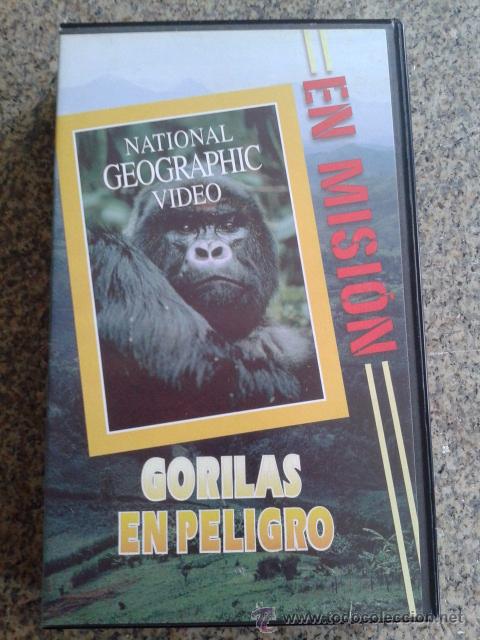 Cinema: NATIONAL GEOGRAPHIC -- VHS -- GORILAS EN PELIGRO --