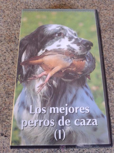 Cine: LOS MEJORES PERROS DE CAZA ( I ) -- VHS -- TFI VIDEO -- 1995 --