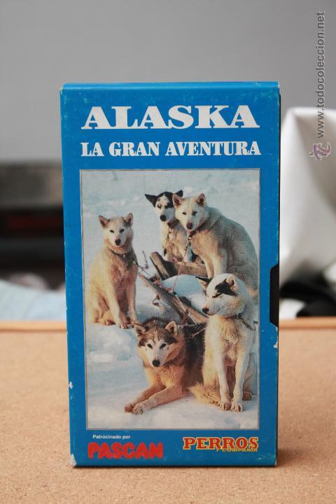 Cine: Alaska - La gran aventura - PERROS