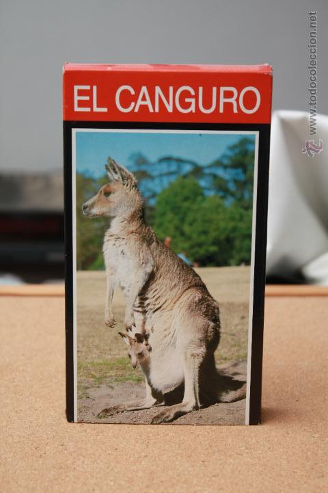 Cine: EL CANGURO - Foto 1