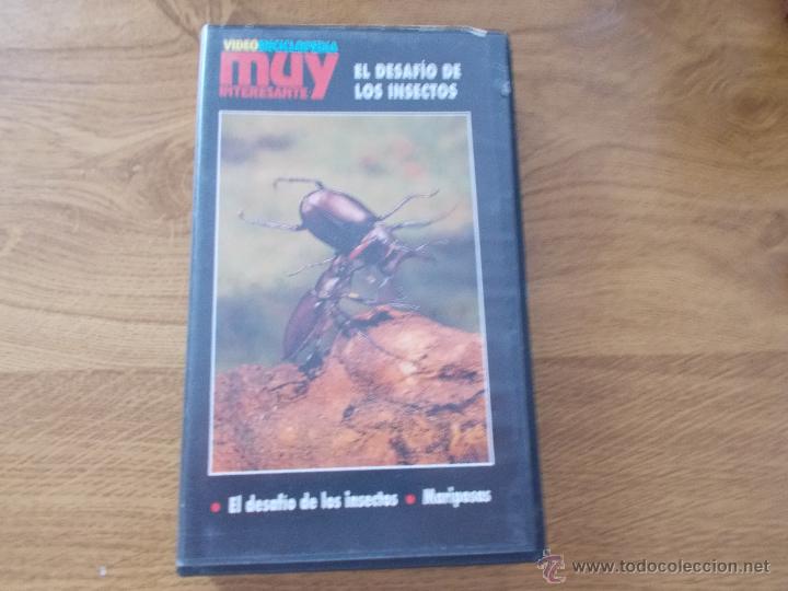Cine: muy interesante. el desafio de los insectos. VHS