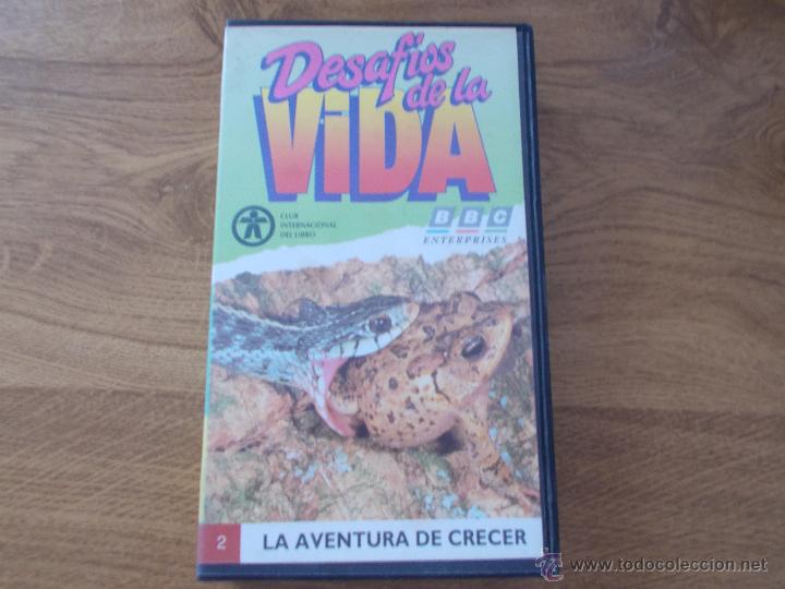 Cine: DESAFIO DE LA VIDA. LA AVENTURA DE CRECER VHS