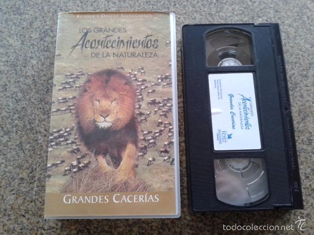 Cin&eacute;ma: VHX -- LOS GRANDES ACONTECIMIENTOS -- GRANDES CACERIAS --
