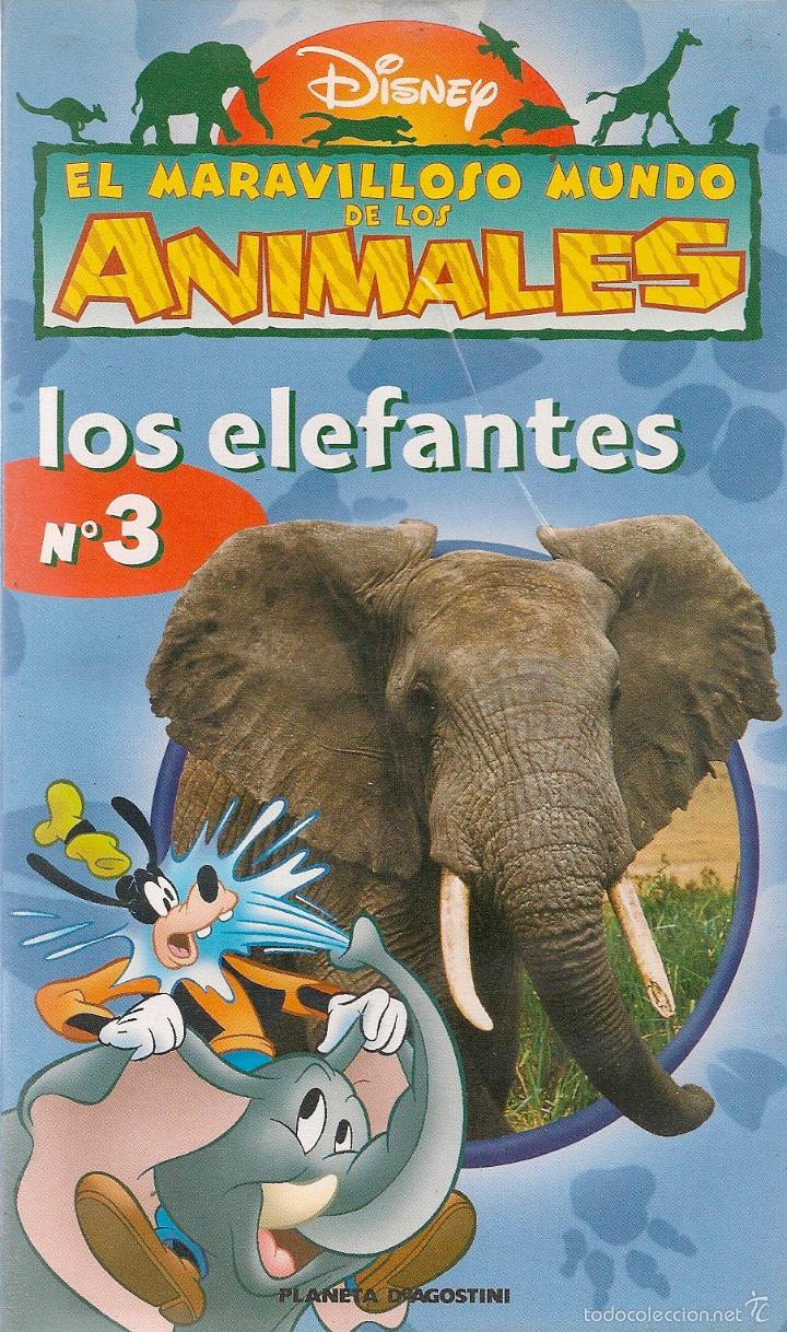 Cine: N&ordm; 3 LOS ELEFANTES  * El maravilloso mundo de los animales * DISNEY *