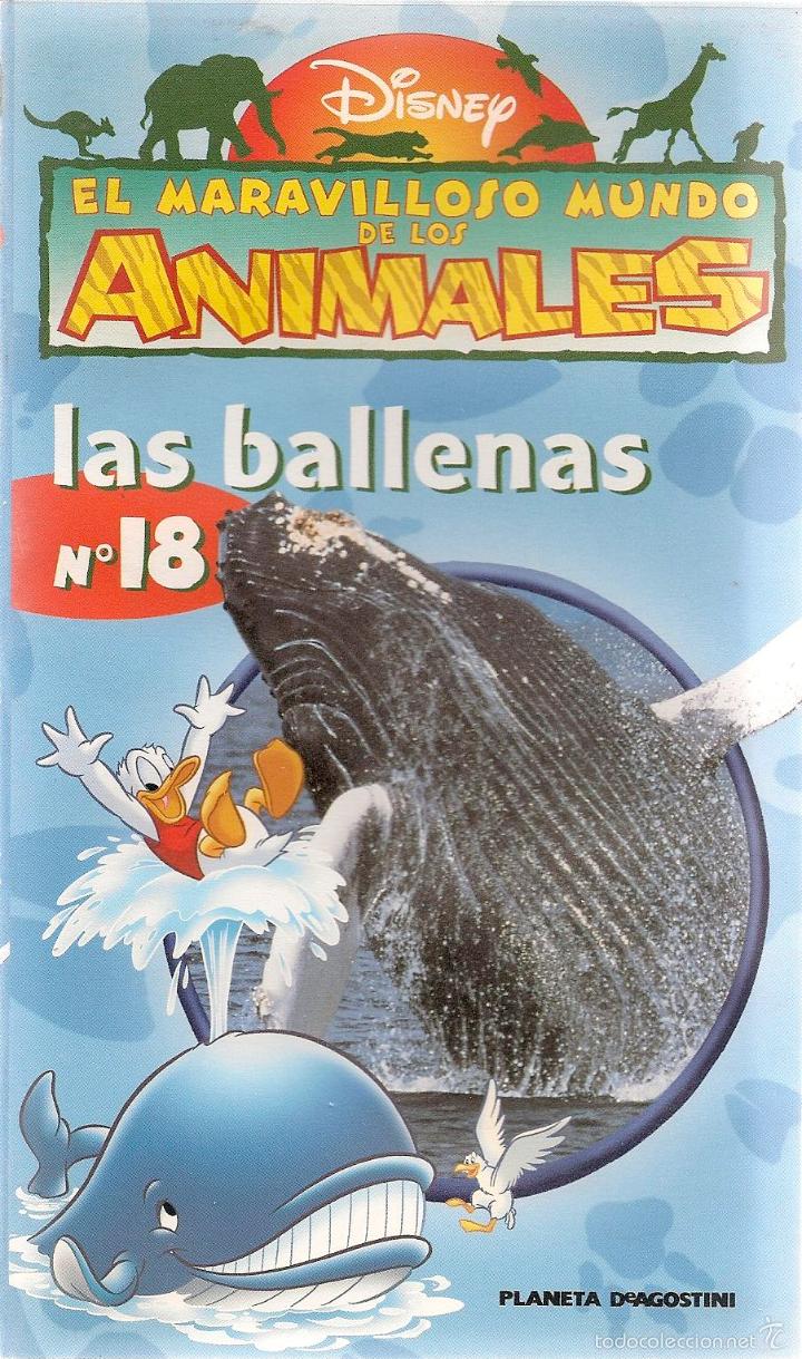 Cine: N&ordm; 18 LAS BALLENAS * El maravilloso mundo de los animales * DISNEY *