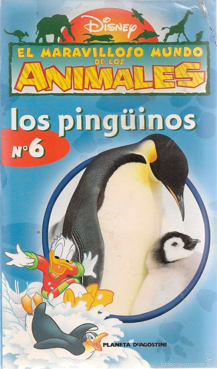 Cine: N&ordm; 6 LOS PINGUINOS  * El maravilloso mundo de los animales * DISNEY *