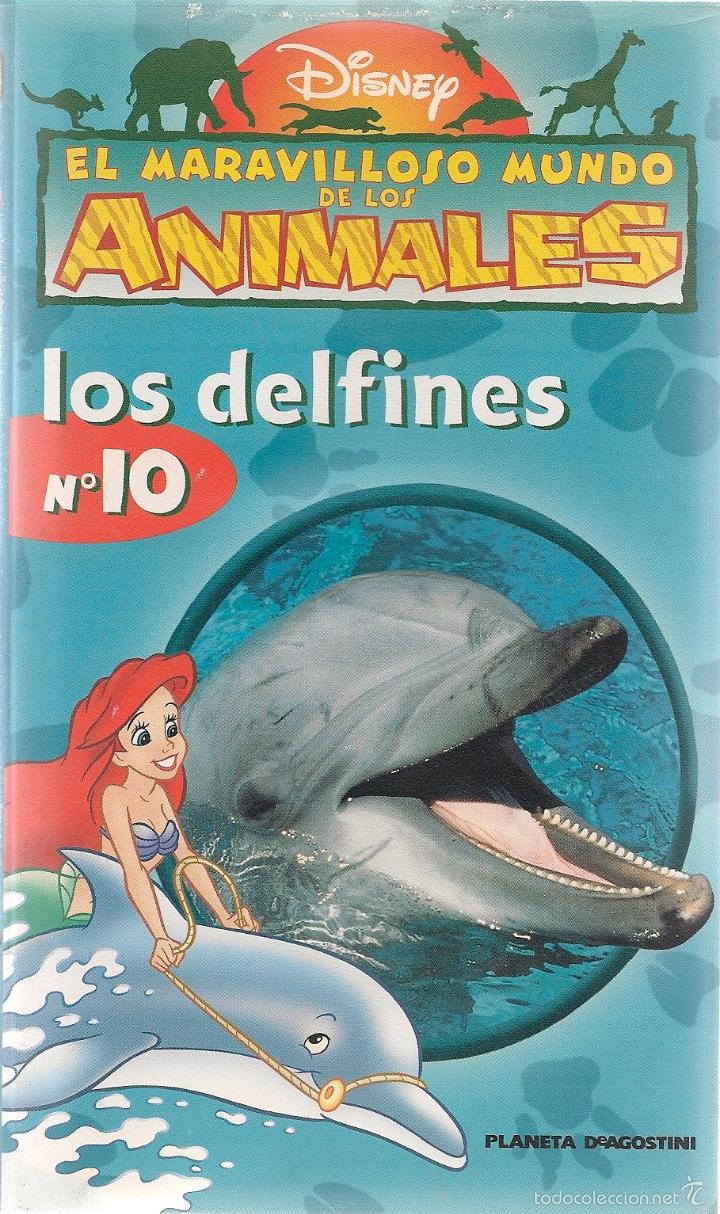Cine: N&ordm; 10 LOS DELFINES * El maravilloso mundo de los animales * DISNEY *