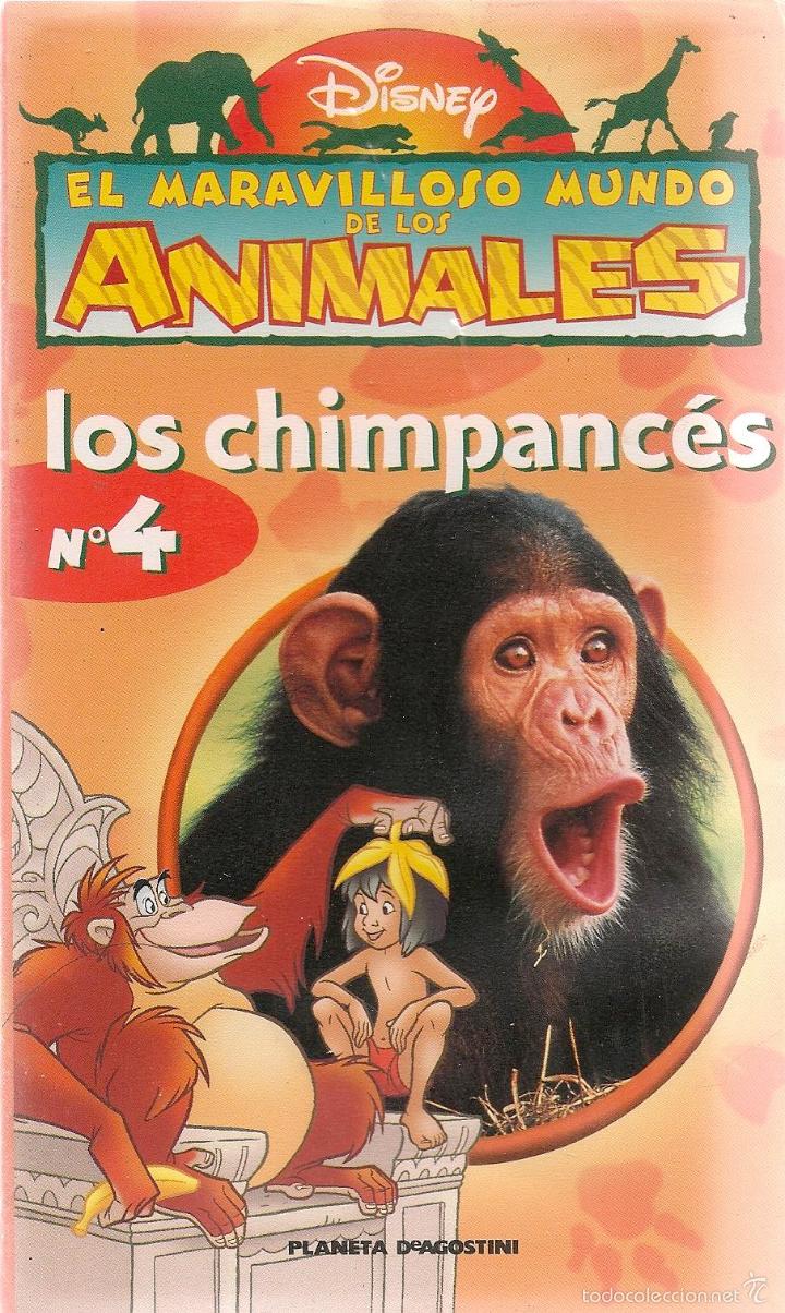 Cine: N&ordm; 4 LOS CHIMPANC&Eacute;S * El maravilloso mundo de los animales * DISNEY *