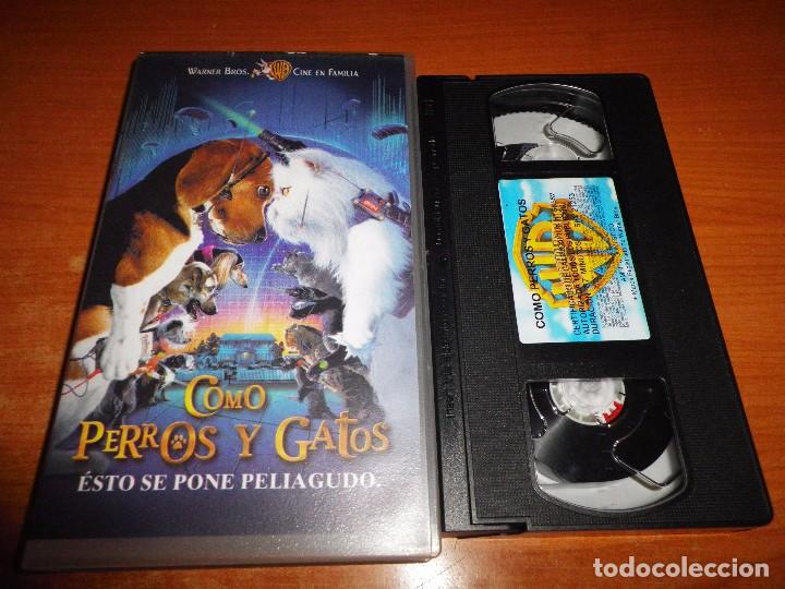 Cine: COMO PERROS Y GATOS WARNER BROS VHS VIDEO 2000 ESPA&Ntilde;A DIBUJOS ANIMADOS