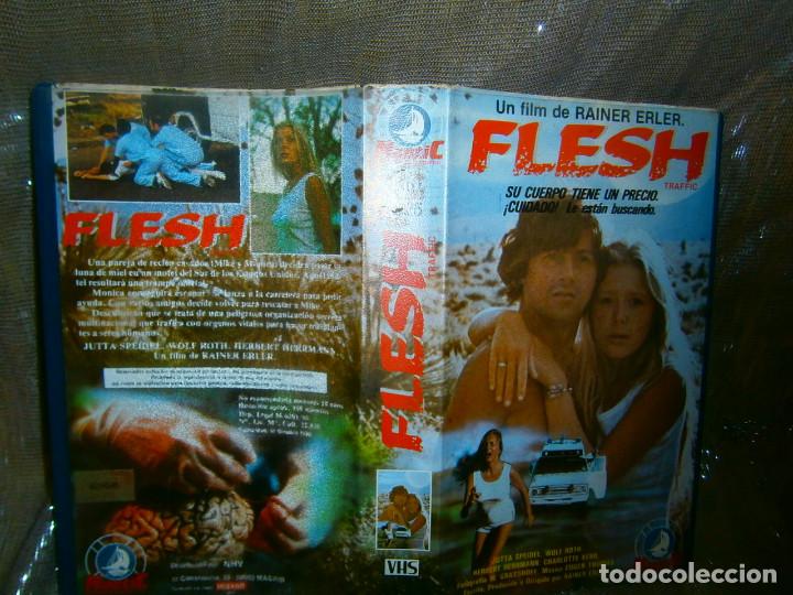 Kino: ((PELICULA-VHS))-FLESH