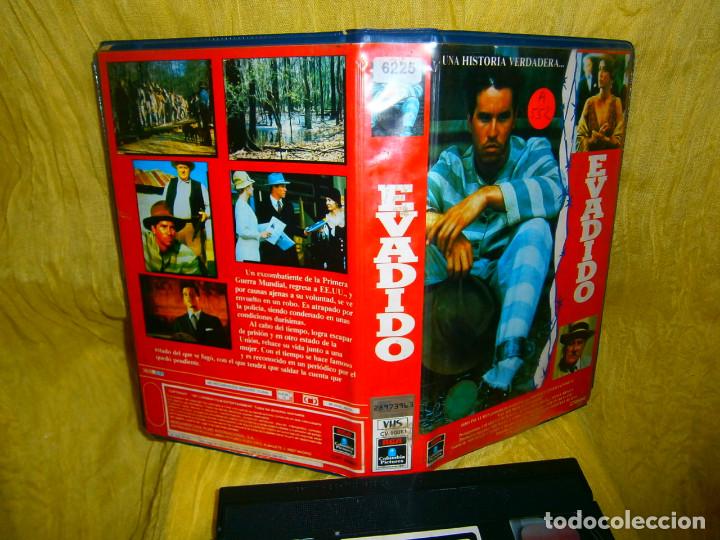 ((PELICULA-VHS))-EVADIDO