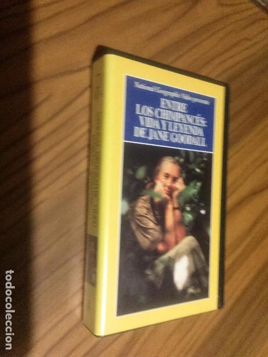 Cin&eacute;ma: ENTRE LOS CHIMPANC&Eacute;S: VIDA Y LEYENDA DE JANE GOODALL. VHS SIN TESTAR. BUEN ESTADO