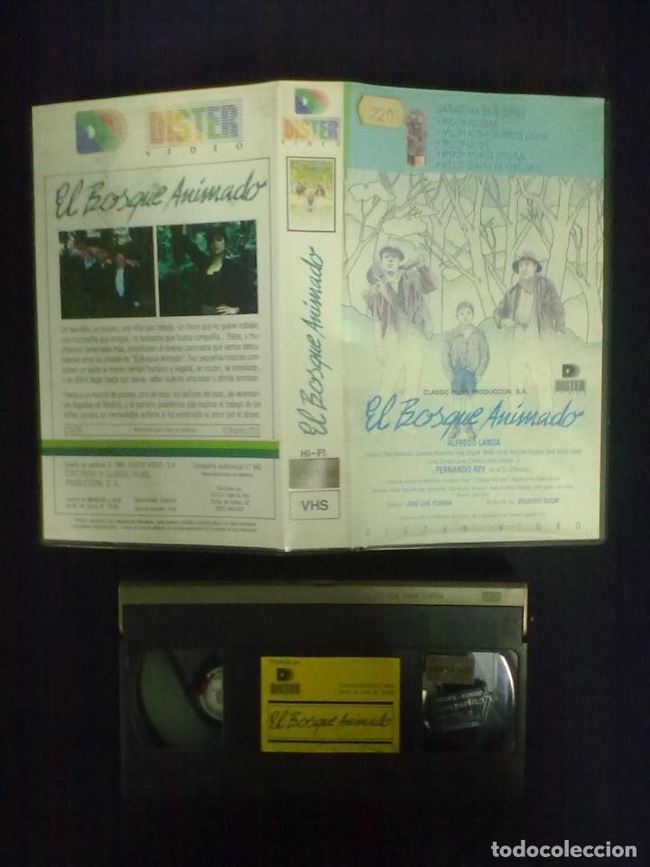 Cine: EL BOSQUE ANIMADO - Foto 1