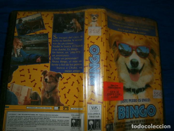 Cinema: ((PELICULA-VHS))-BINGO
