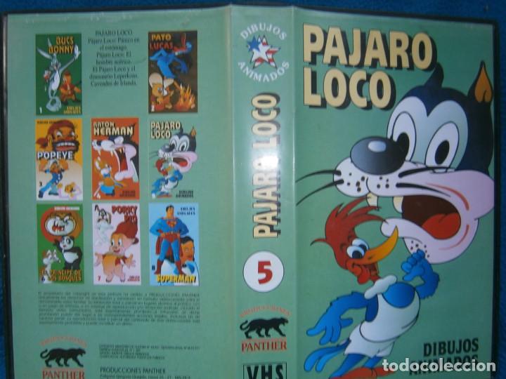 Cine: PAJARO LOCO-((PELICULA-VHS))