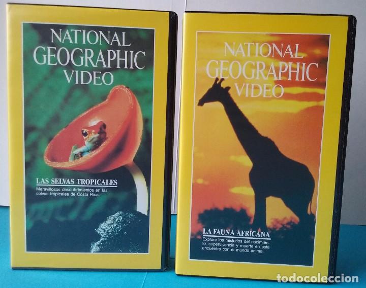 Cine: 2 VIDEO VHS NATIONAL GEOGRAPHIC N&ordm; 4 y 5, SELVAS TROPICALES Y FAUNA AFRICANA