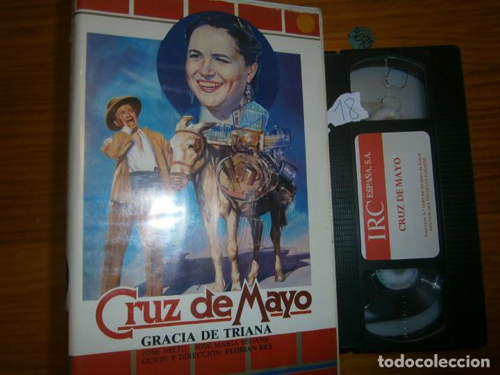 Kino: cruz de mayo