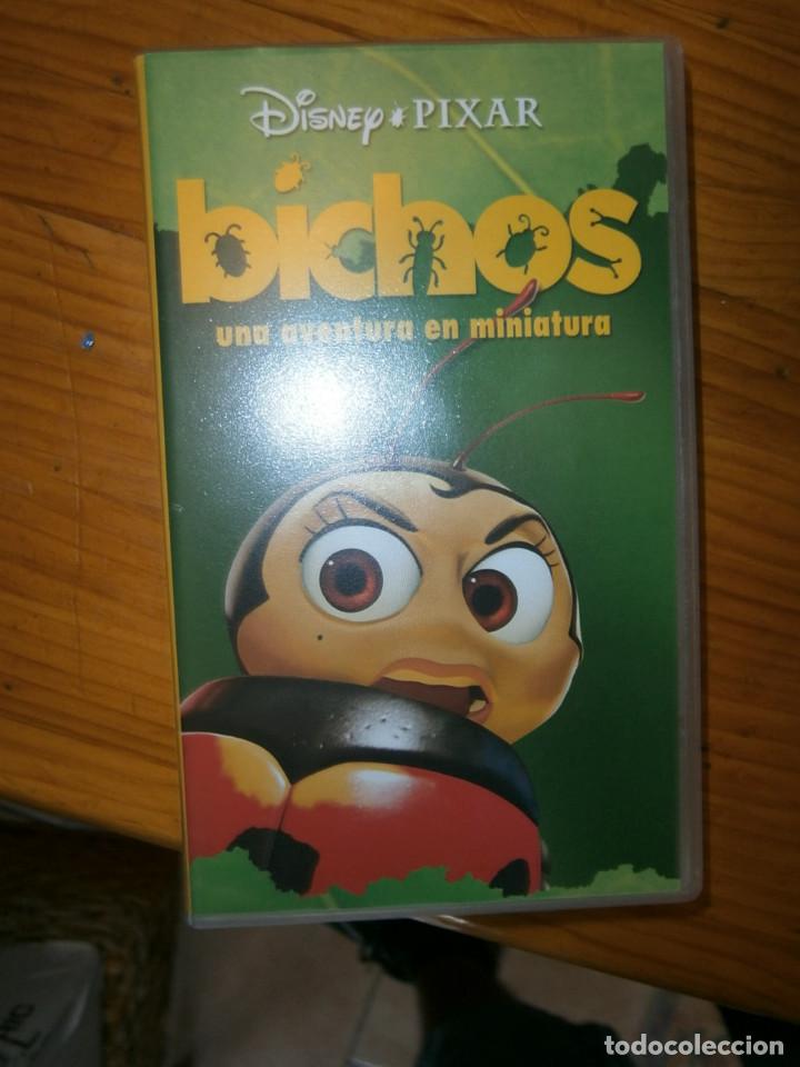 Cine: bichos - Foto 1