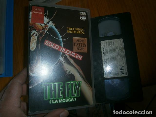 Cine: la mosca - Foto 1
