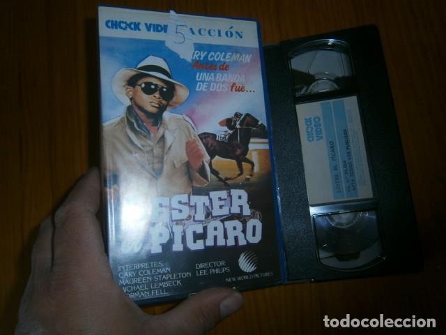 tester el picaro