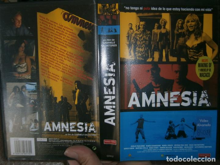 Cine: AMNESIA 1 EDICION - Foto 1