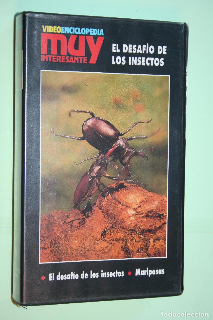 Cinema: EL DESAF&Iacute;O DE LOS INSECTOS --) MUY INTERESANTE n&ordm; 17 *** VHS CINE DOCUMENTAL ***