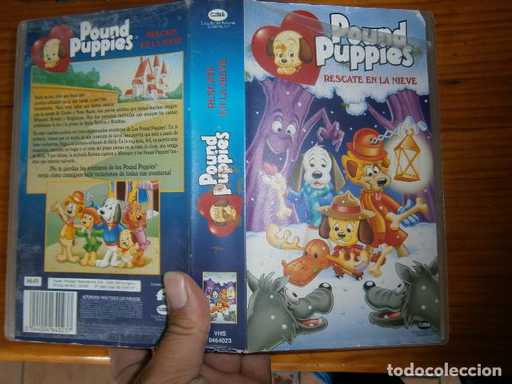 POUND PUPPIES