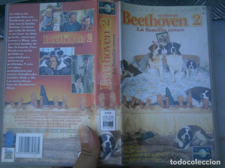 Cinema: BEETTHOVEN 2