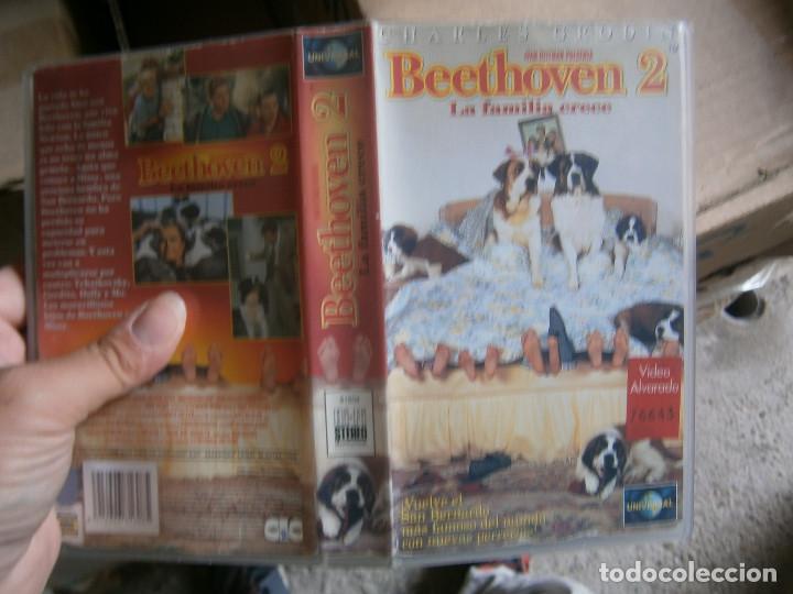 Cine: &iexcl;BEETHOVEN 2&iexcl;&iexcl;DISPONEMOS DE MAS DE 60.000&iexcl;&iexcl;PELICULAS VHS BETA 2000&iexcl;&iexcl;