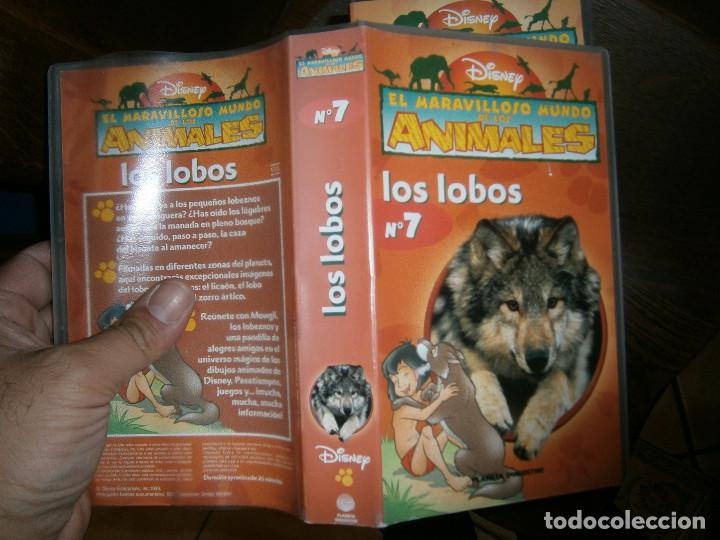 Cine: EL MARAVILLOOSO MUNDO DE LOS ANIMALES LOS LOBOS &iexcl;DISPONEMOS DE MAS DE 60.000,EN VHS BETA 2000'