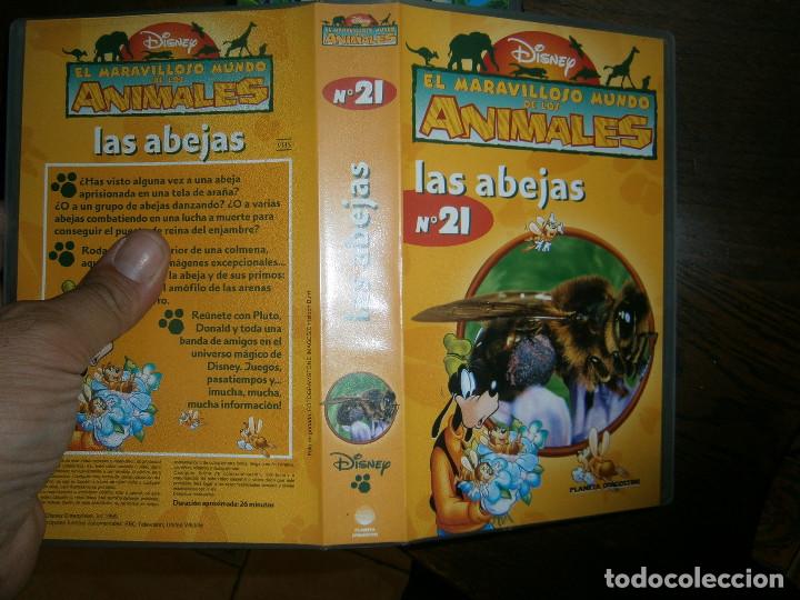 Cine: EL MARAVILLOSO MUNDO DE LOS ANIMALES LAS ABEJAS &iexcl;DISPONEMOS DE MAS DE 60.000,EN VHS BETA 2000'