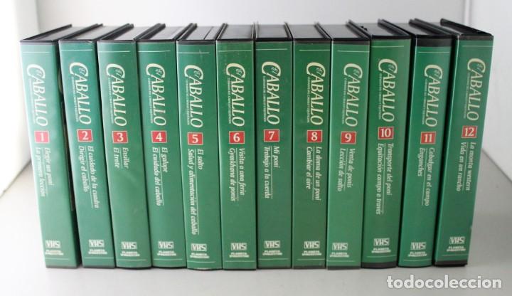 Cine: Colecci&oacute;n VHS El Caballo - - Foto 1