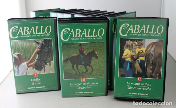 Cine: Colecci&oacute;n VHS El Caballo - - Foto 2